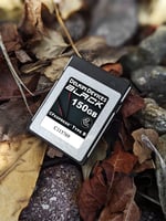 Delkin Devices 150GB SİYAH CFexpress Tip B Hafıza Kartı
