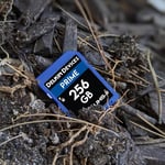 Delkin Devices 256 GB Prime SDXC - Seçenekler: 64GB, 256GB