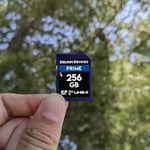 Delkin Devices 256 GB Prime SDXC - Seçenekler: 64GB, 256GB