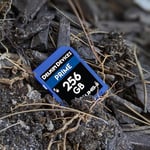 Delkin Devices 256 GB Prime SDXC - Seçenekler: 64GB, 256GB