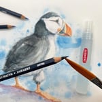 Derwent Watercolour Serisi Sulandırılabilir Kuru Kalem Seti - 24 Renk Metal Kutulu