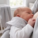 DEUX LAPINS% 100 Pamuk Müslin Bebek omuz Bezi 5’li Cotton Grey - Gri CLOTHMP4006