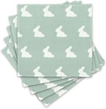 DEUX LAPINS%100 Pamuk Müslin Bebek Omuz Bezi 5li - Mono Lapin Matcha Green OMZBEZ-05L-000MHG