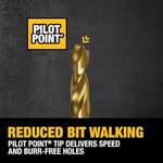 DEWALT DW1354 14 parçalı titanyum matkap ucu seti, gümüş,