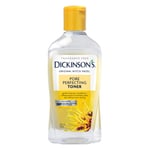 Dickinson's Witch Hazel Pore Perfecting Tonik 473ML mükemmelleştiren 16 ons