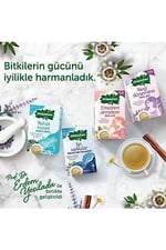 Doğadan İyi Uykular (18'li)