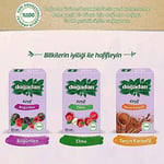 Doğadan Meyve Çayı Böğürtlen (20'li)