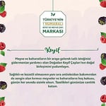 Doğadan Meyve Çayı Böğürtlen (20'li)