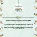Doğadan Papatya (20'li)