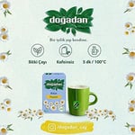 Doğadan Papatya (20'li)