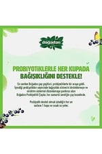Doğadan Probiyotik Acai Ananas (14'lü)