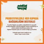 Doğadan Probiyotikli Rooibos Vanilyalı Çay 14lü
