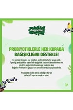 Doğadan Probiyotikli Yeşil Çay Açai Ananas 14Lü X2