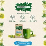Doğadan Rezene (20'li)