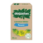 Doğadan Rezene (20'li)