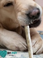Doğal İşkembeli Köpek Ödül Maması, Köpek Munchy Çubuk 40 Adet