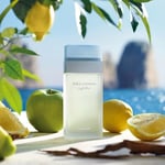 Dolce Gabbana Light Blue EDT 100 ml Kadın Parfüm
