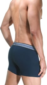 DOREANSE 1776 ERKEK MODAL KOT DESEN MAVİ BOXER