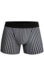 Doreanse Erkek Modal Çizgi Desenli Normal Paça Boxer 1866