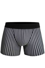 Doreanse Erkek Modal Çizgi Desenli Normal Paça Boxer 1866