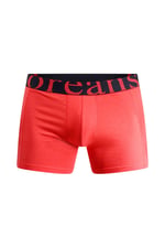 Doreanse Erkek Modal Torbalı Normal Paça Boxer 1777