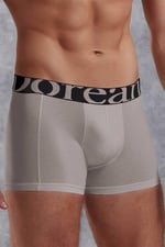Doreanse Erkek Modal Torbalı Normal Paça Gri Boxer C7T7N7O1