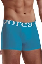 Doreanse Erkek Modal Torbalı Normal Paça Turkuaz Boxer C7T7N7O1