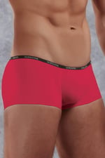 Doreanse Erkek Polyamid Mini Paça Boxer 1590