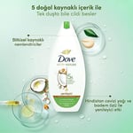 Dove Nemlendirici Duş Jeli Hindistan Cevizi Yağı ve Badem Özü 450 ml