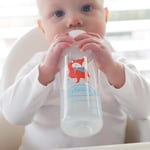 Dr. Brown's 8 oz/250 ml PP Dar Ağız + Sippy Biberon Bardak, Tilki, Tekli Paket