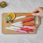 Dr.Inox Sunberry 6'lı Meyve Bıçağı
