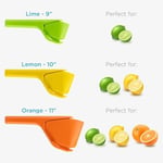 Dreamfarm Fluicer Katlanır Pratik 23cm Narenciye Sıkacağı, Yeşil | Kolay, manuel taze limon suyu sıkacağı, pip yakalayıcılı, limonlara uygun, kompakt depolama, 9 inç