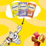 Dreamies Kuru Kedi Ödül Maması, Somonlu ve Peynirli, 60 G