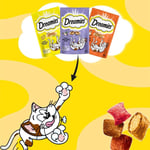 Dreamies Kuru Kedi Ödül Maması, Somonlu ve Peynirli, 60 G