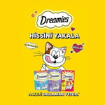 Dreamies Kuru Kedi Ödül Maması, Somonlu ve Peynirli, 60 G