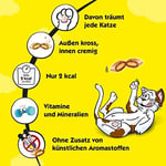Dreamies Somonlu Kedi Ödül Maması 60 G x 6 Adet, 1 Kutu
