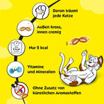 Dreamies Somonlu Kedi Ödül Maması 60 G x 6 Adet, 1 Kutu