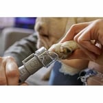 Dremel 7020 Evcil Hayvan Tırnak Bakım Kiti, 6 V, 5 Aksesuarlı, Konforlu ve Sessiz