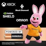 Duracell CR2450 düğme pil (2 adet), CR 2450 lityum düğme pil 3 V
