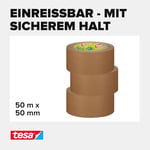 Eco Koli Bandı Kraft
