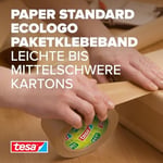 Eco Koli Bandı Kraft