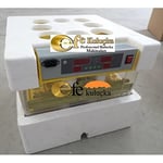 EFE KULUÇKA MAKİNELERİ 96 Yumurta Kapasiteli Kuluçka Makinesi