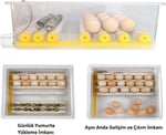 EFE KULUÇKA MAKİNELERİ Kaz Yumurtası Uyumlu Kuluçka Makinesi