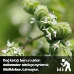 EGEYE DÖNÜŞ Bilye Kekik - 30 Gr. (Bitki Çayı - Baharat - Tomurcuk Dağ Kekiği - Top Kekik)