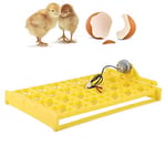 Egg Inkubation Yumurta Tepsisi, Otomatik Döner Yumurta İnkubatör Tepsisi, Dört Yapraklı, Yumurta İncubator için (#2)