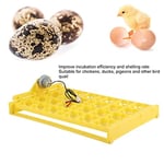 Egg Inkubation Yumurta Tepsisi, Otomatik Döner Yumurta İnkubatör Tepsisi, Dört Yapraklı, Yumurta İncubator için (#2)