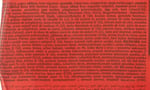 Elvan Caferoll Fındıklı 48'li (48 x 10 gr)