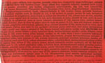 Elvan Caferoll Fındıklı 48'li (48 x 10 gr)