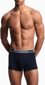 Emporio Armani Erkek mayosu