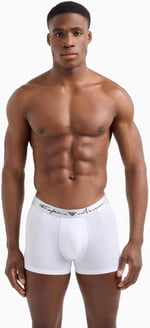 Emporio Armani Trunk erkek mayosu